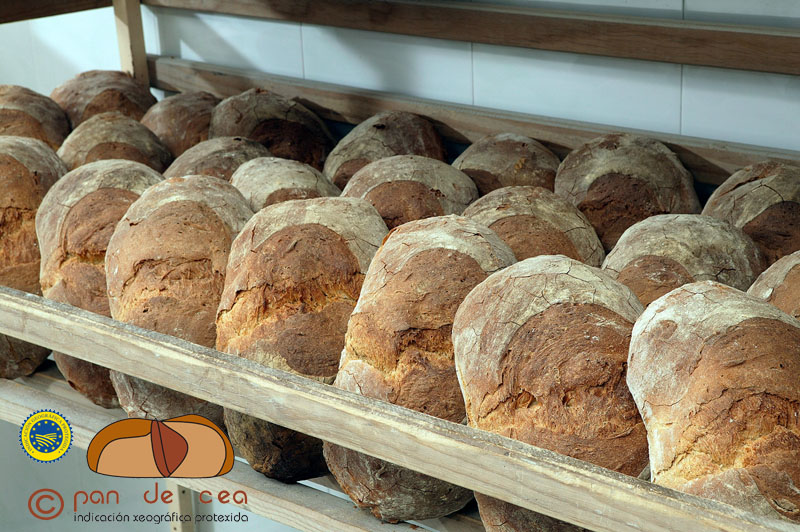 O exquisito e recoñecido pan de Cea