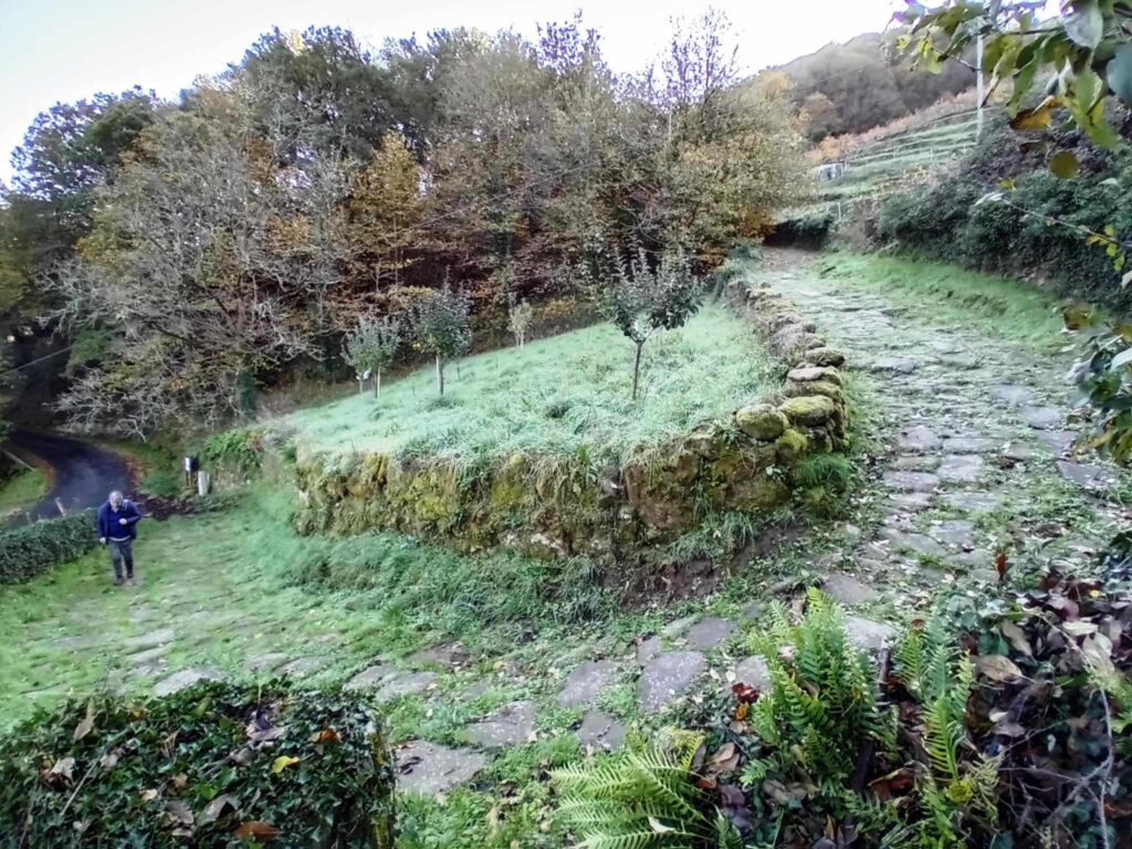 O tramo de calzada romana que se conserva entre os socalcos das viñas